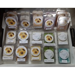 Soy Clamshell Tarts  Natural Scents